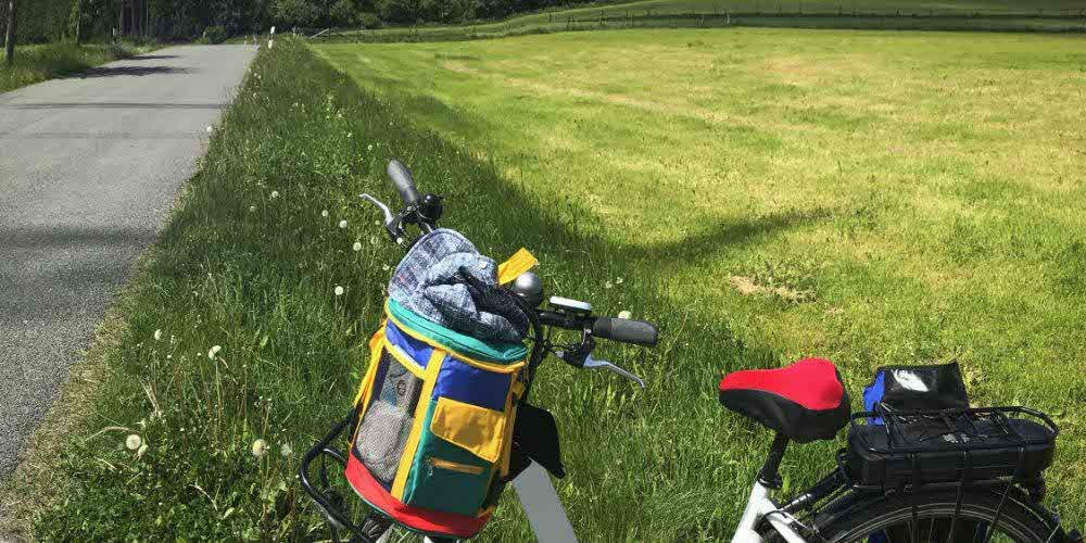 Una bici elettrica su un grande prato accanto a una strada: la mobilità sostenibile si basa molto sulle bici elettriche