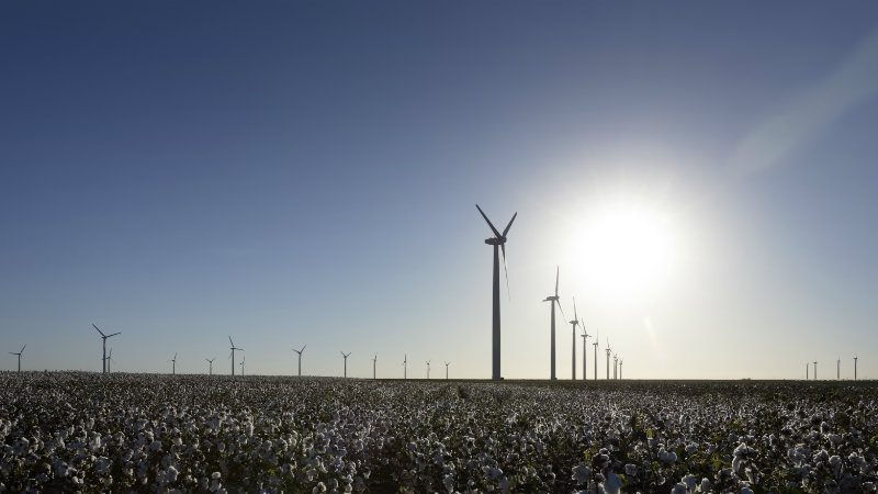 Campo eolico con pale: l’UE prevede una forte crescita per le energie rinnovabili entro il 2030