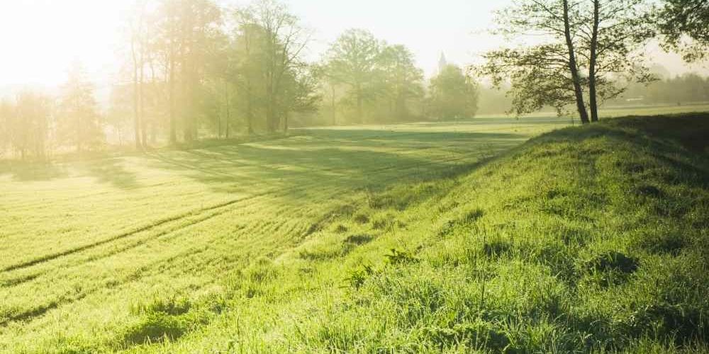 Paesaggio di campagna immerso in una intensa luce solare