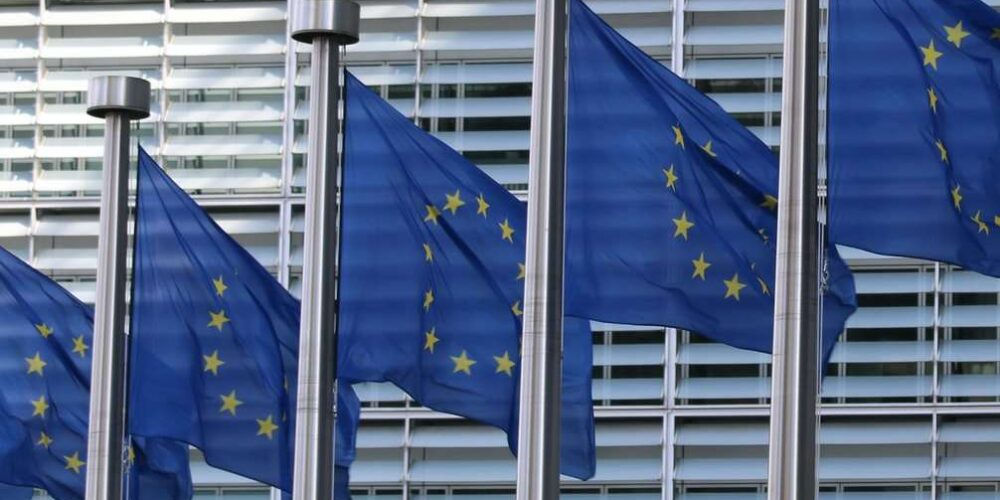Fila di bandiere dell’UE fuori dal Parlamento Europeo, sede di molte decisioni sui fondi per progetti sostenibili