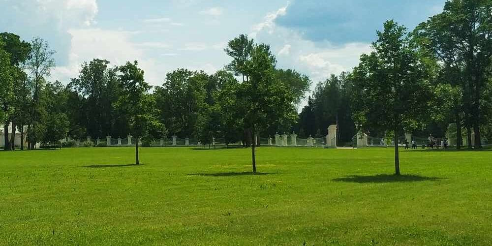 Un parco cittadino: i boschi urbani sono un polmone di biodiversità