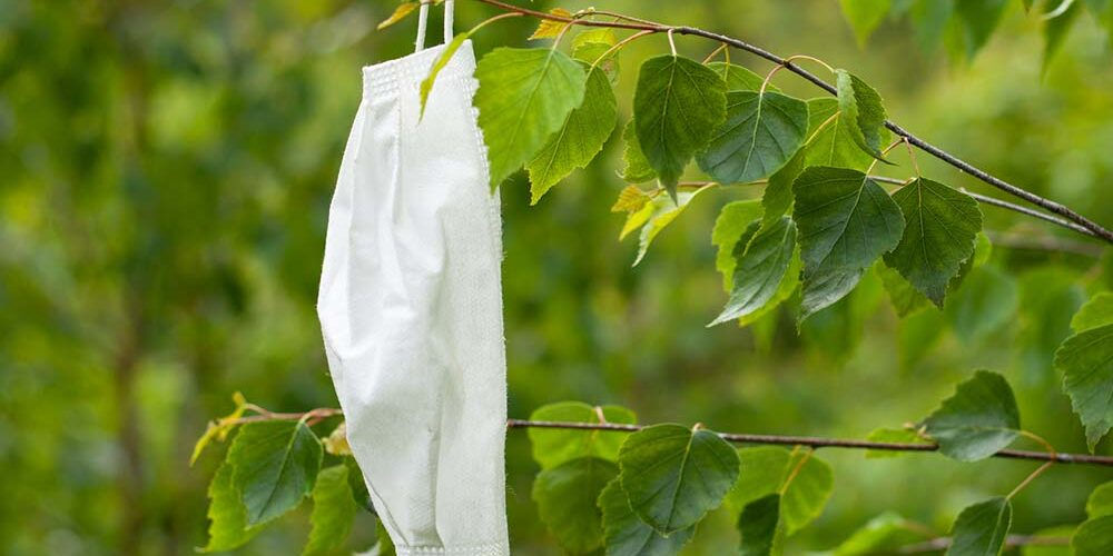 Mascherina abbandonata su una pianta: anche il Covid ha avuto un impatto sull’ambiente