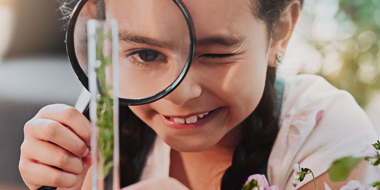 Una bambina gioca con una lente d’ingrandimento e una piantina: la sostenibilità si può appendere a scuola