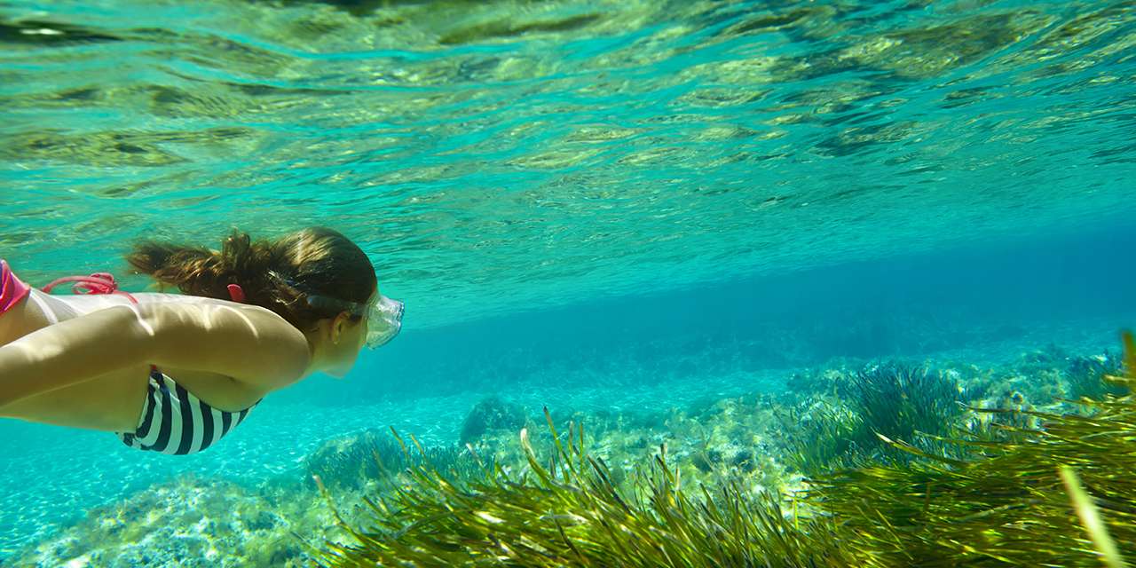 Una ragazza scivola sott’acqua su una distesa di posidonia, una pianta acquatica fondamentale per la biodiversità