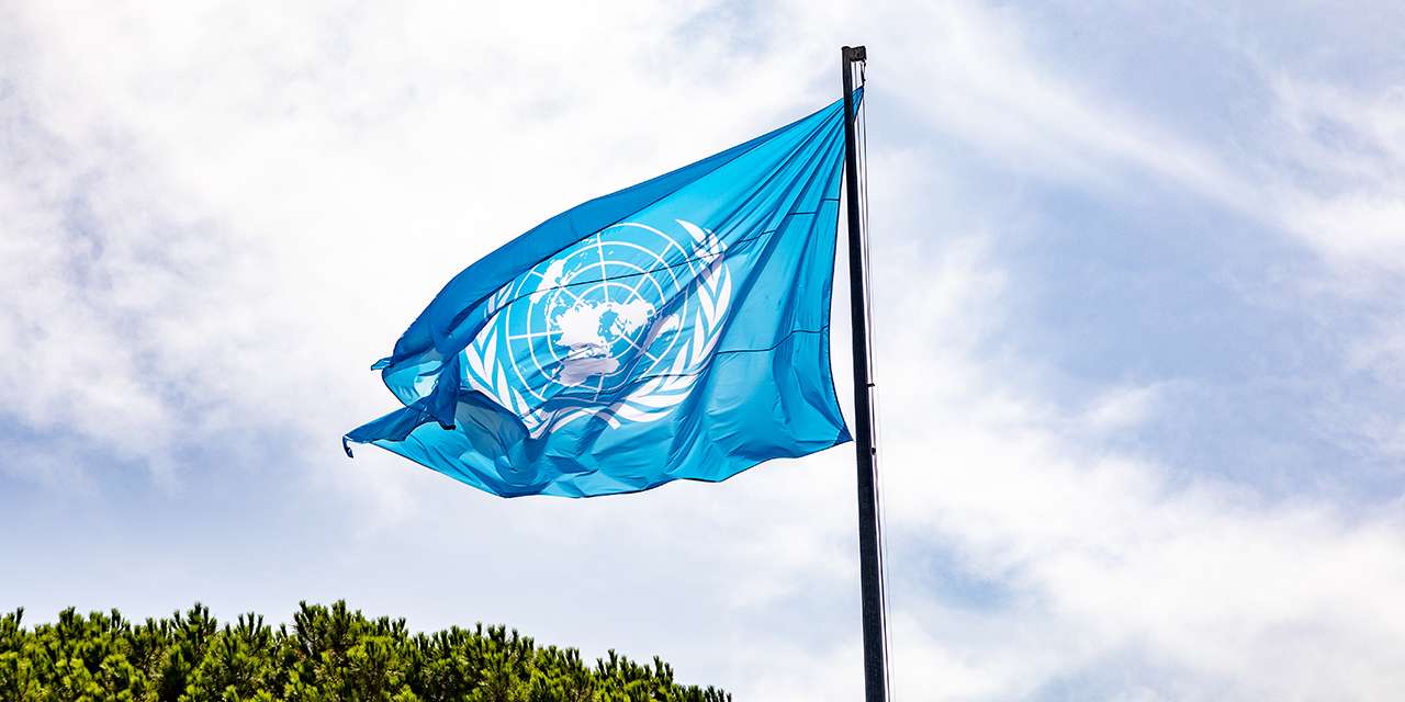 Bandiera delle Nazioni Uniti in occasione della COP26, la conferenza sui cambiamenti climatici del 2022