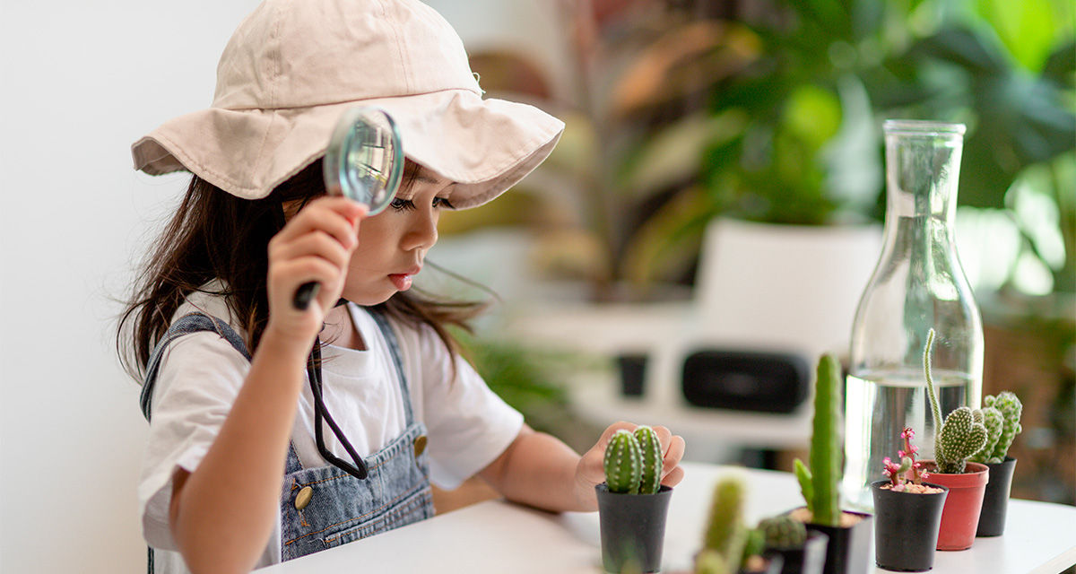 Una bambina osserva piccole piante grasse con una lente: Odiamo gli Sprechi è il progetto educativo E.ON per i più piccoli e per la sostenibilità