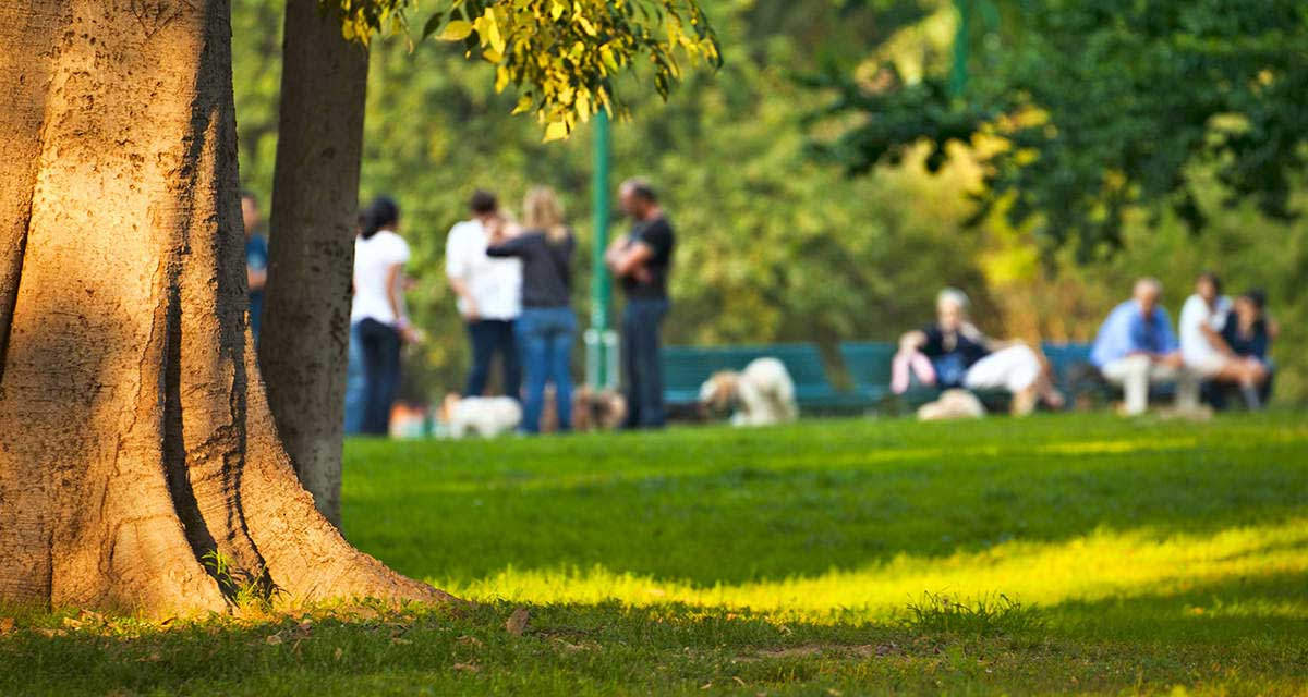 Un gruppo di persone si rilassa su un vialetto di un parco cittadino