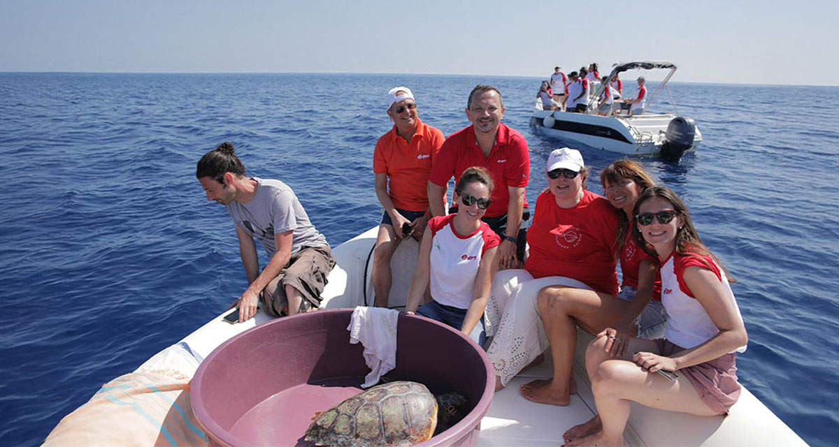 Ricercatori e volontari in barca pronti a rilasciare una tartaruga nell’ambito del progetto energy4Blue